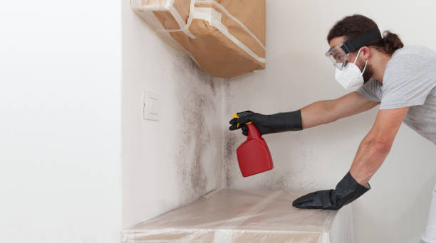 Professional Commercial Mold Remediation technician working in Franktown, VA